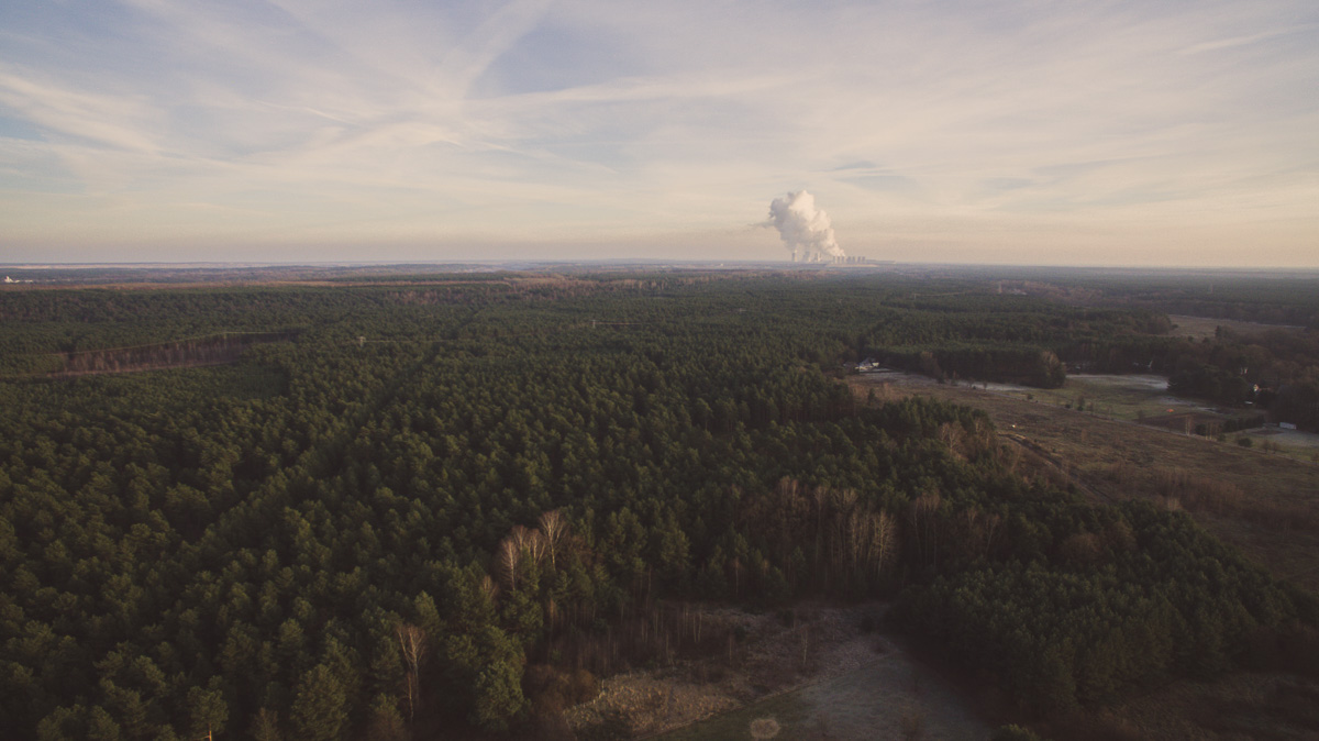 Großer Nadelwald, im Hintergrund das Kraftwerk schwarze Pumpe
